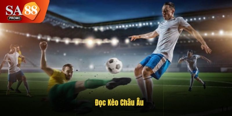 Đọc kèo và phán đoán